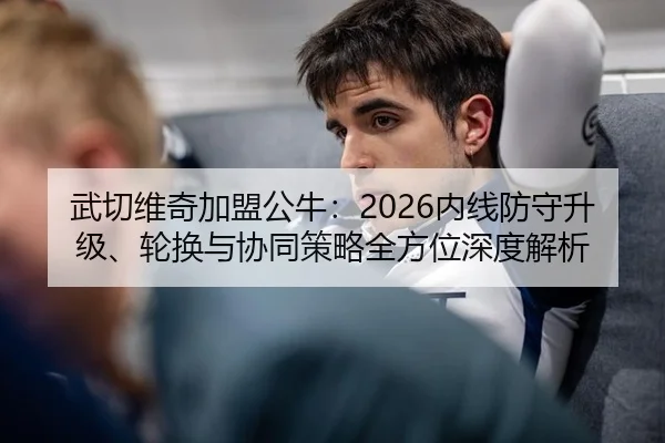 武切维奇加盟公牛：2026内线防守升级、轮换与协同策略全方位深度解析